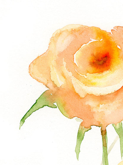 Roses (2025)