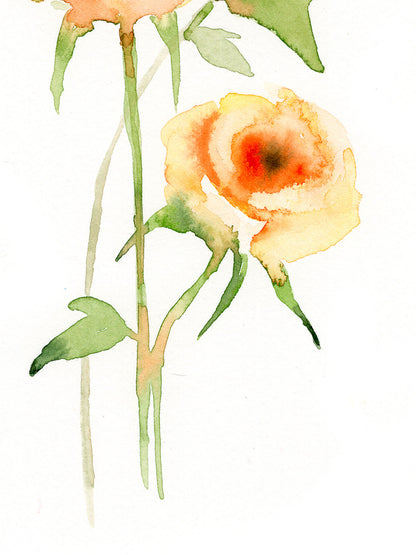 Roses (2025)