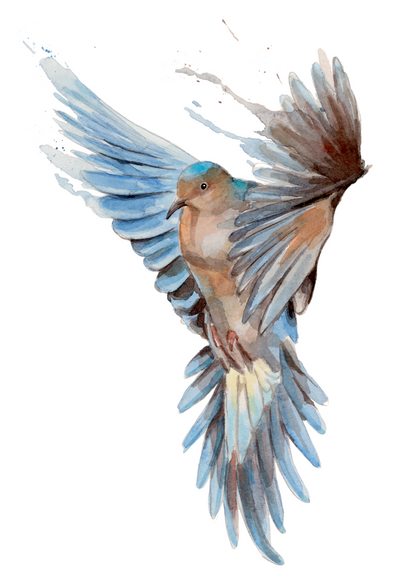 Free bird (2026)